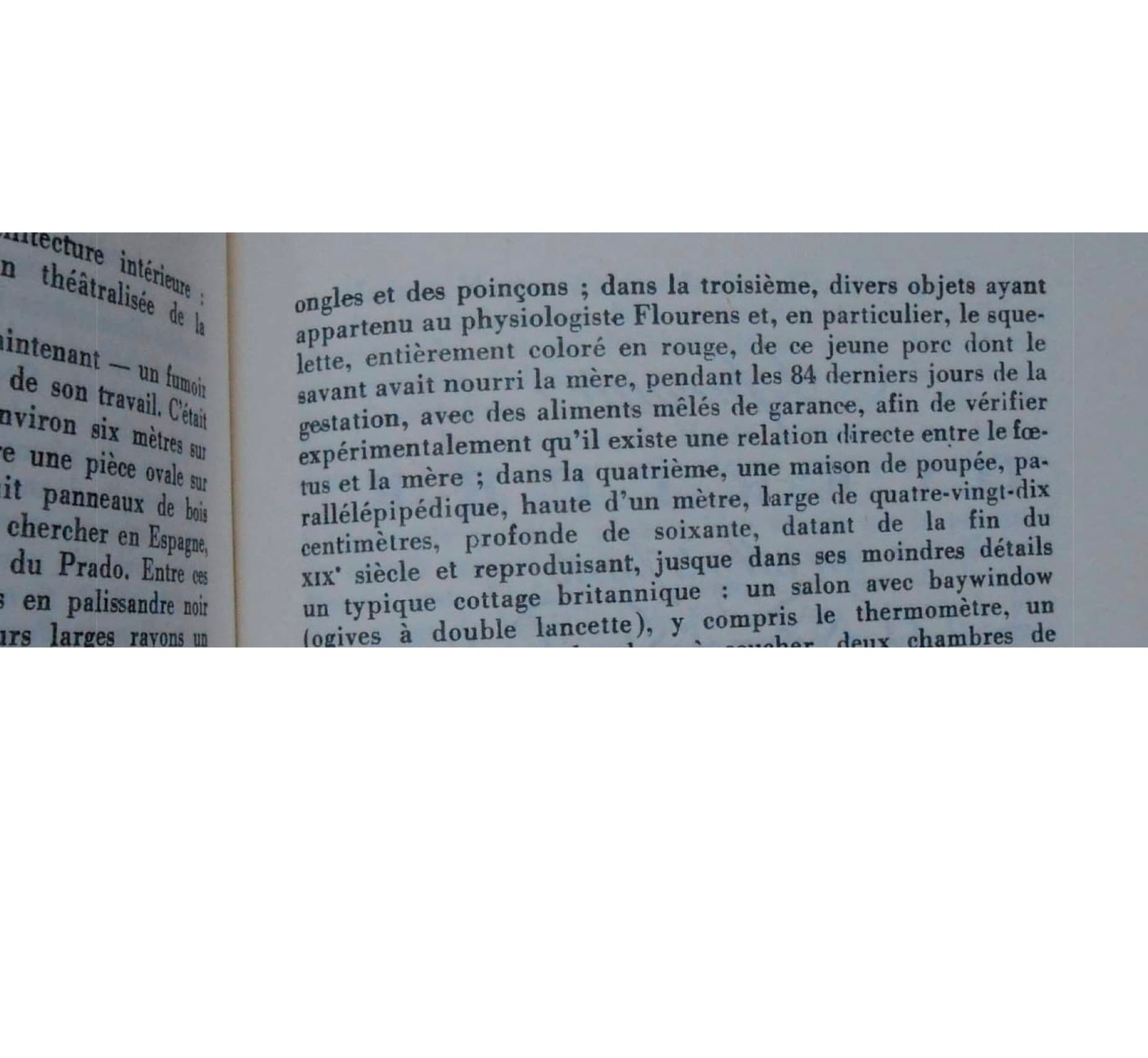 10 avril (suite, interruption)