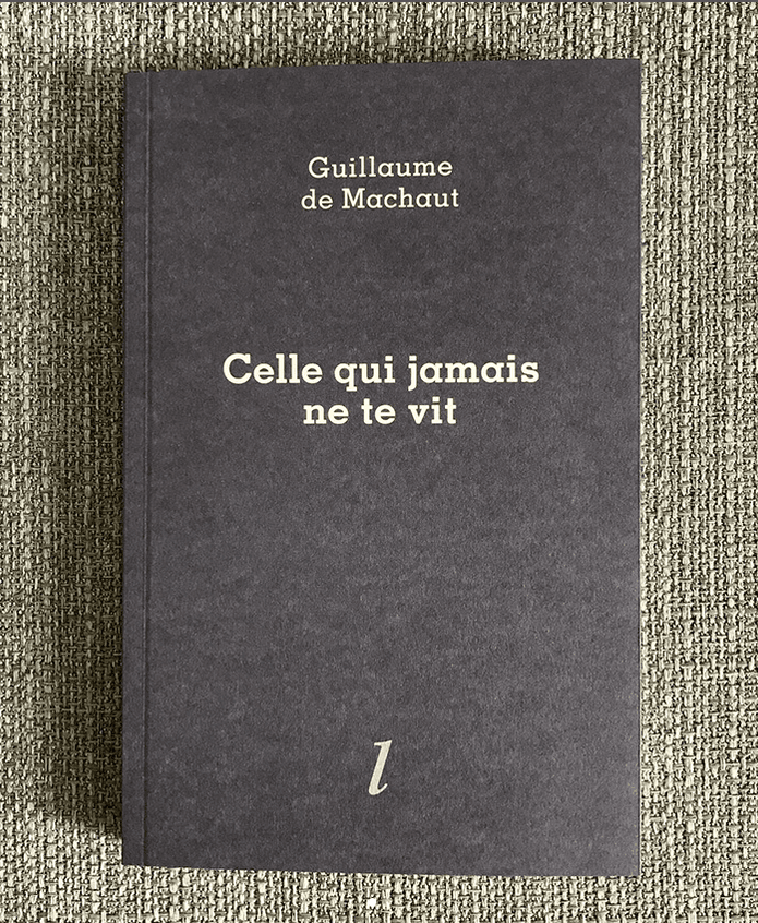 OULIPIENS EN LIBRAIRIE : Samuel Deshayes, "Celle qui jamais ne te vit" (traduction)