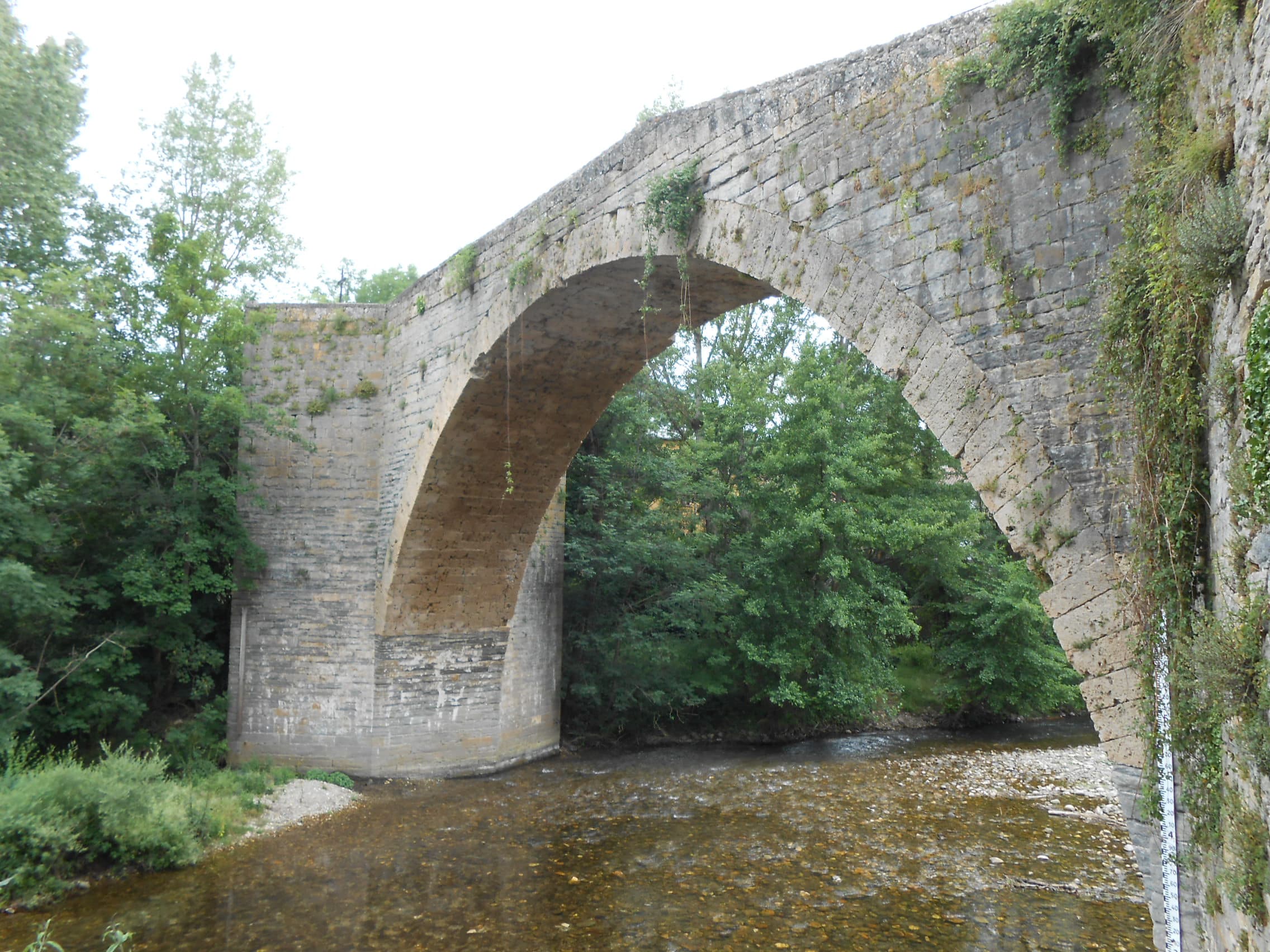 Nant
