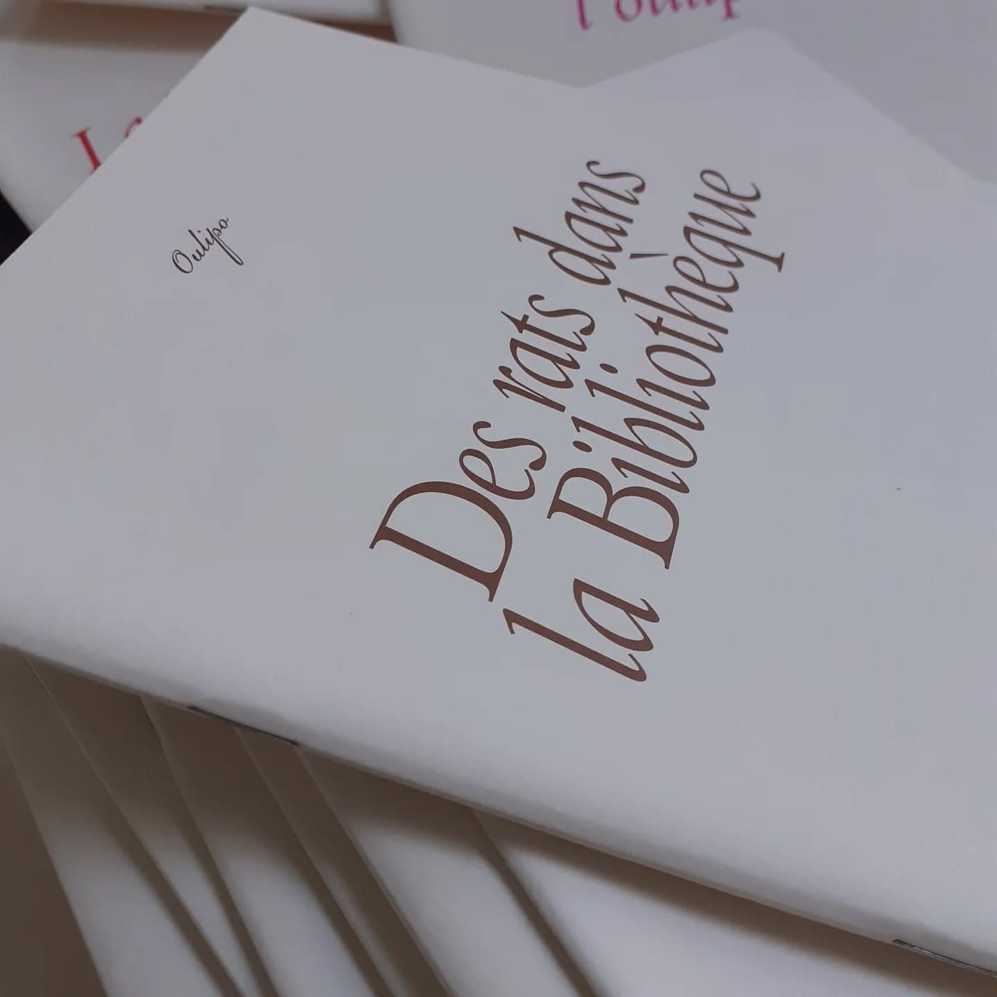 Selon la définition prêtée à Raymond Queneau, l'auteur oulipien est « un rat qui construit lui-même le labyrinthe dont il se propose de sortir ». #oulipo #oulipiens #raymondqueneau #rats